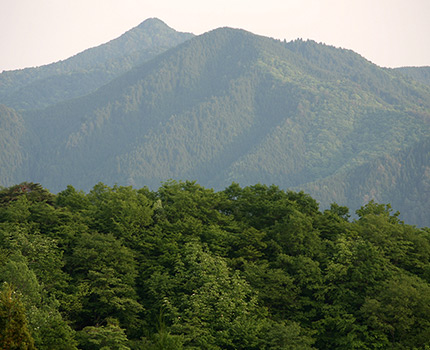 岐阜県産材利用拡大