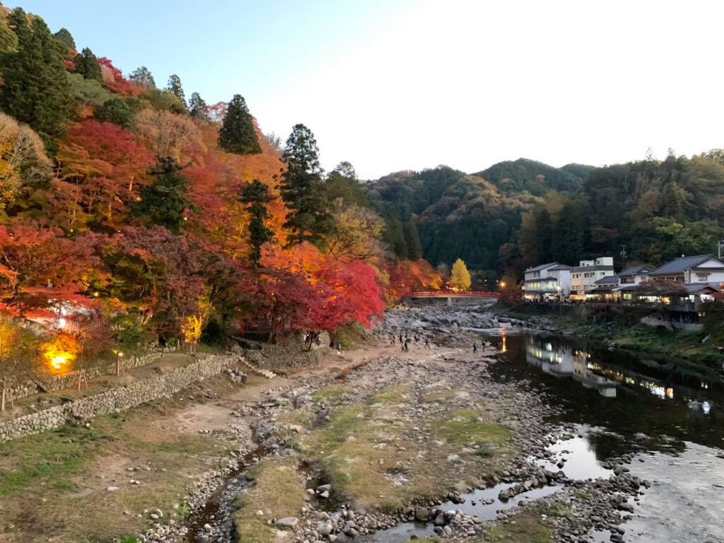 山に囲まれた場所で育ちました