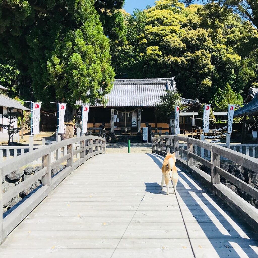 豊かな自然と文化に恵まれた環境で育つ