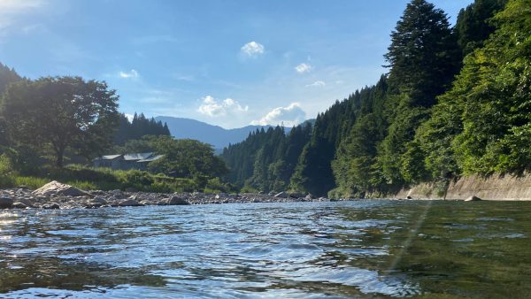 通学は毎日登山。自然豊かな町で育ちました。