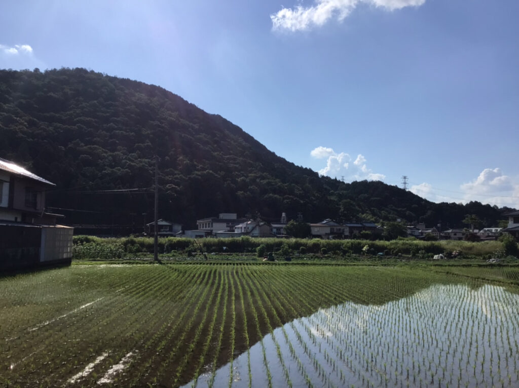 ②髙橋、土地買うってよ