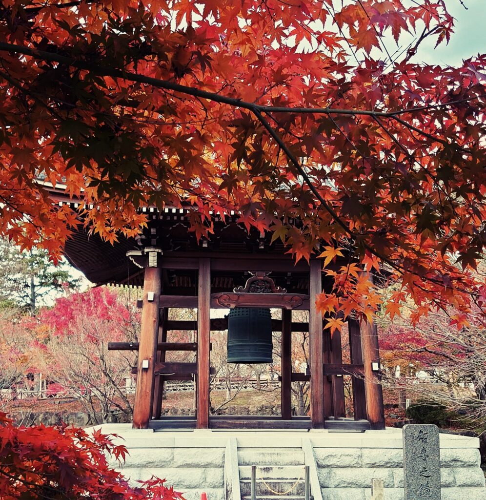 『社寺専門材木屋としての歴史』