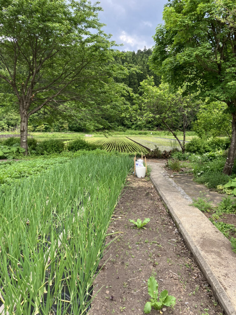 ずっと田舎への憧れがあった