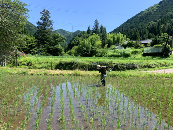 美味しいもの