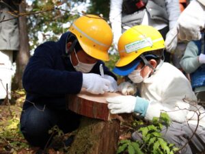 毎年恒例！森の見学ツアー～半年に一度の特別イベント～