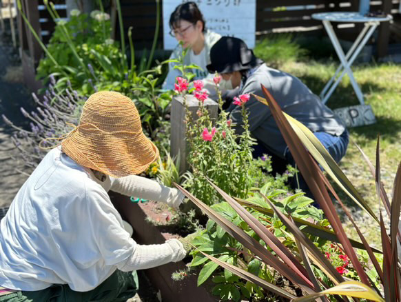 ナチュラル花壇をつくるガーデニング体験〜球根と花苗の植え付け〜