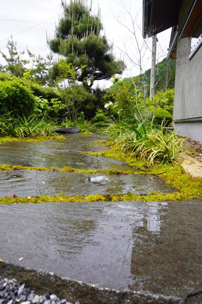 苔に沼る