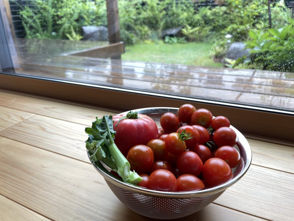 【スタッフひだまりびとの暮らし】わくわく豊作！家庭菜園
