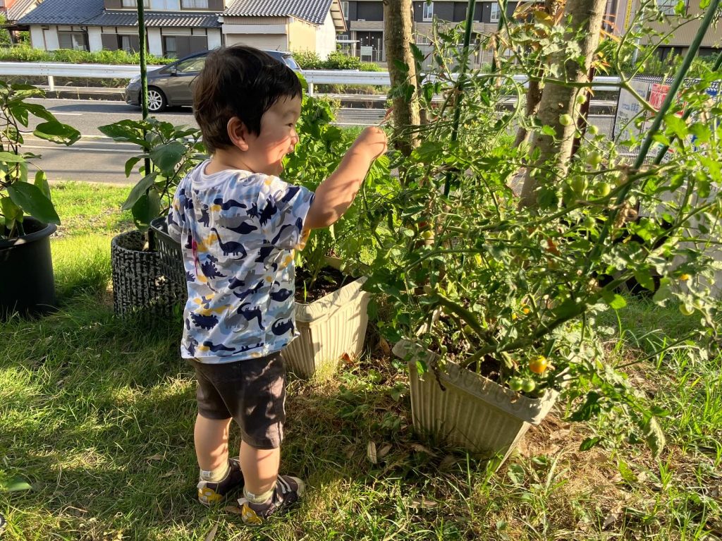 【スタッフひだまりびとの暮らし】庭先の小さな家庭菜園で感じる、家族の時間と暮らしの豊かさ
