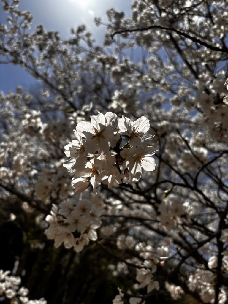 2年目営業部の休日の過ごし方