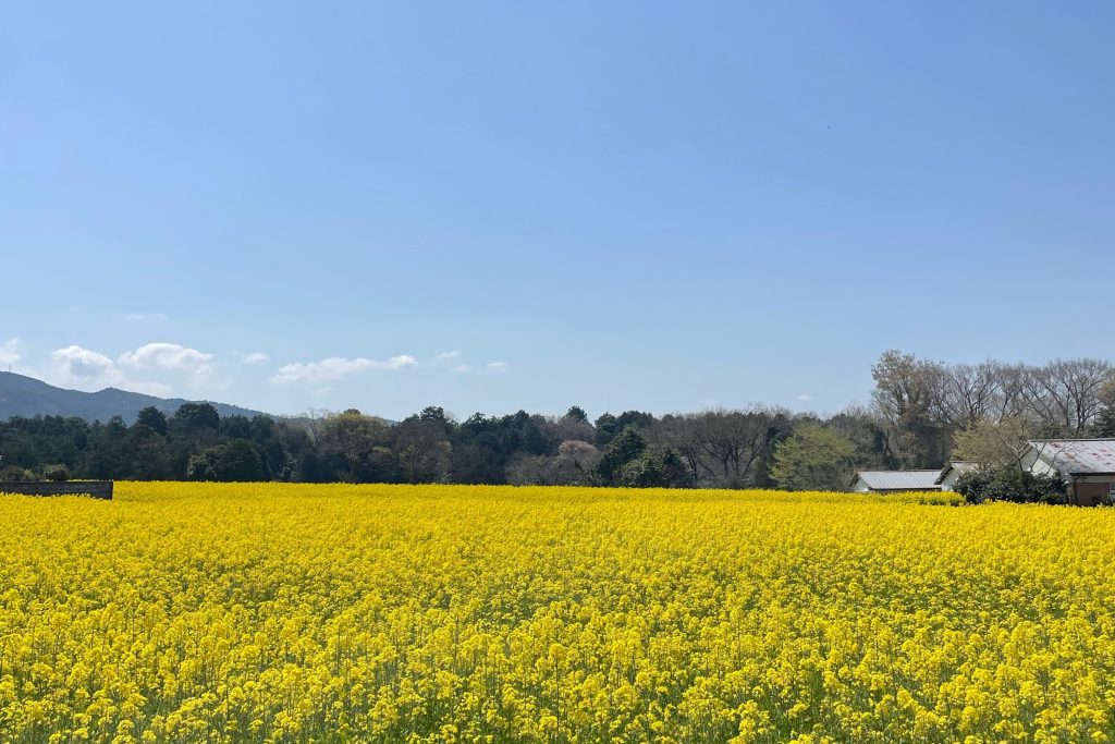私を育てた原風景