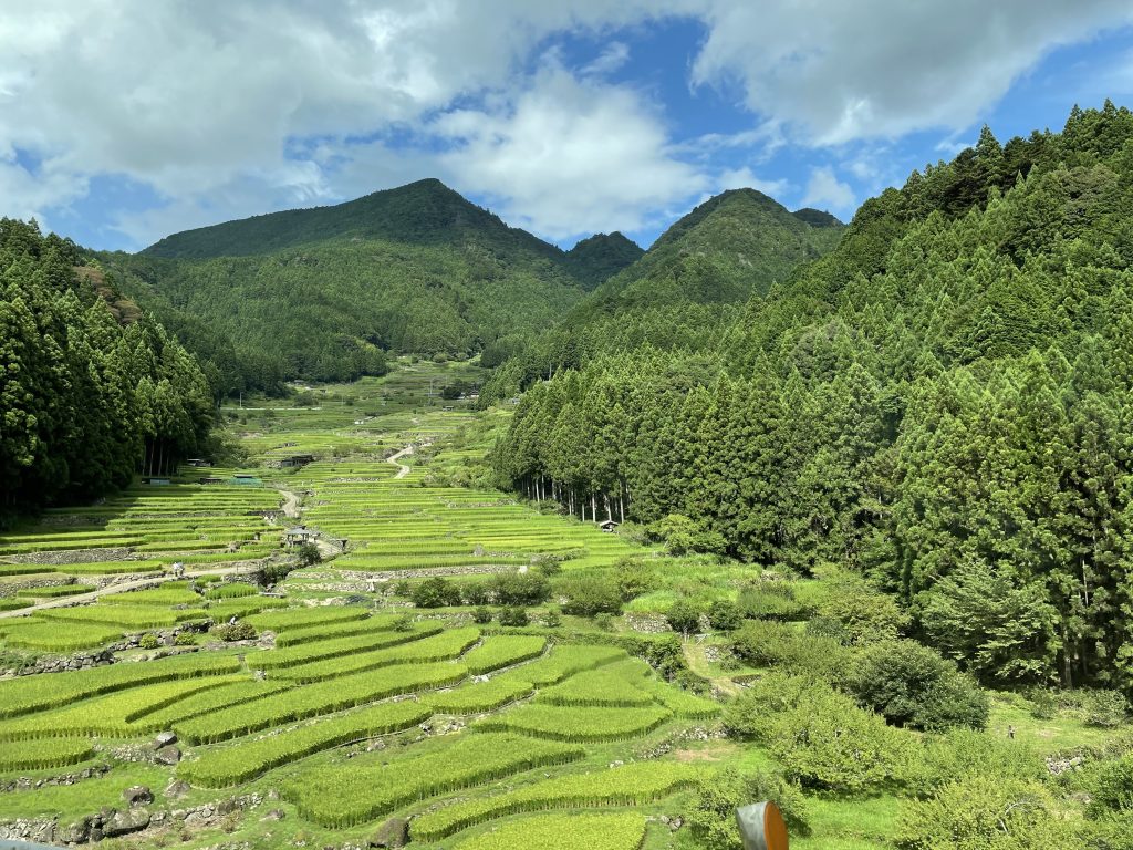 祖父母と地元がくれた感性