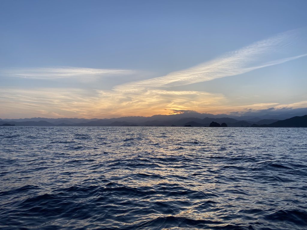 私の趣味。。。いつかはひだまりで。