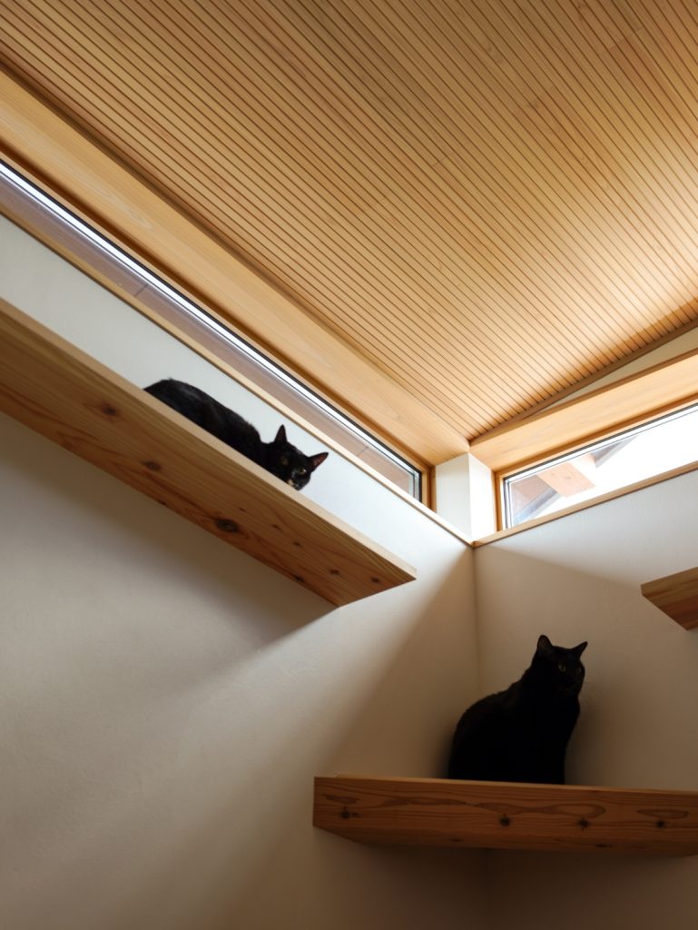 「おかえり」はのぞき窓から。愛猫と共に時を重ねる木の住まい