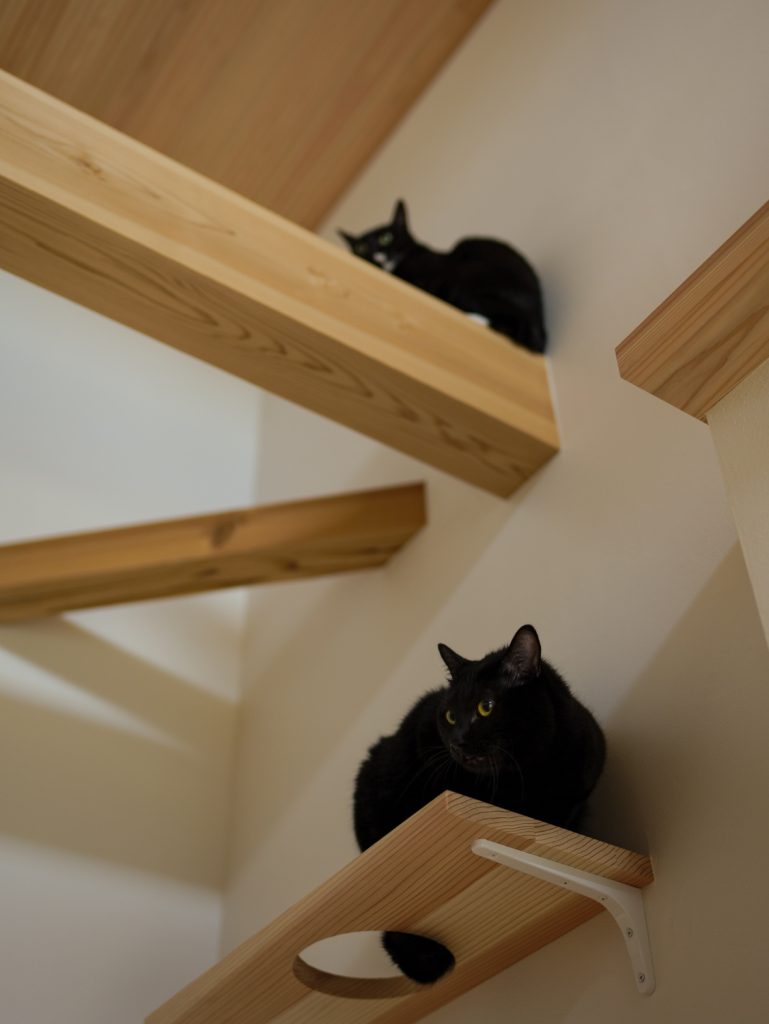 「おかえり」はのぞき窓から。愛猫と共に時を重ねる木の住まい