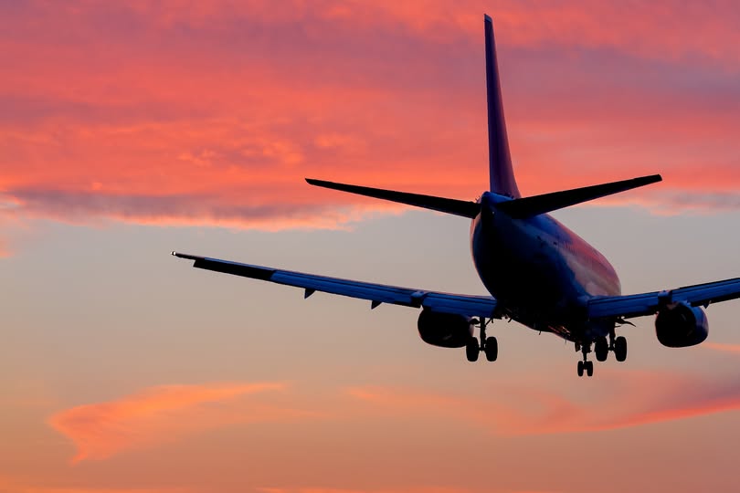 『石橋の口ぐせ！？』