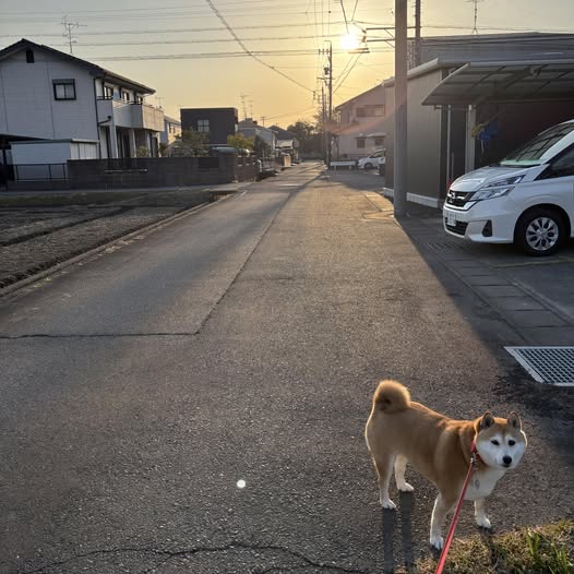 『お天道さまは、見ている。』